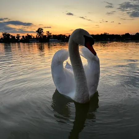 Splav Na Savi Ostruznica